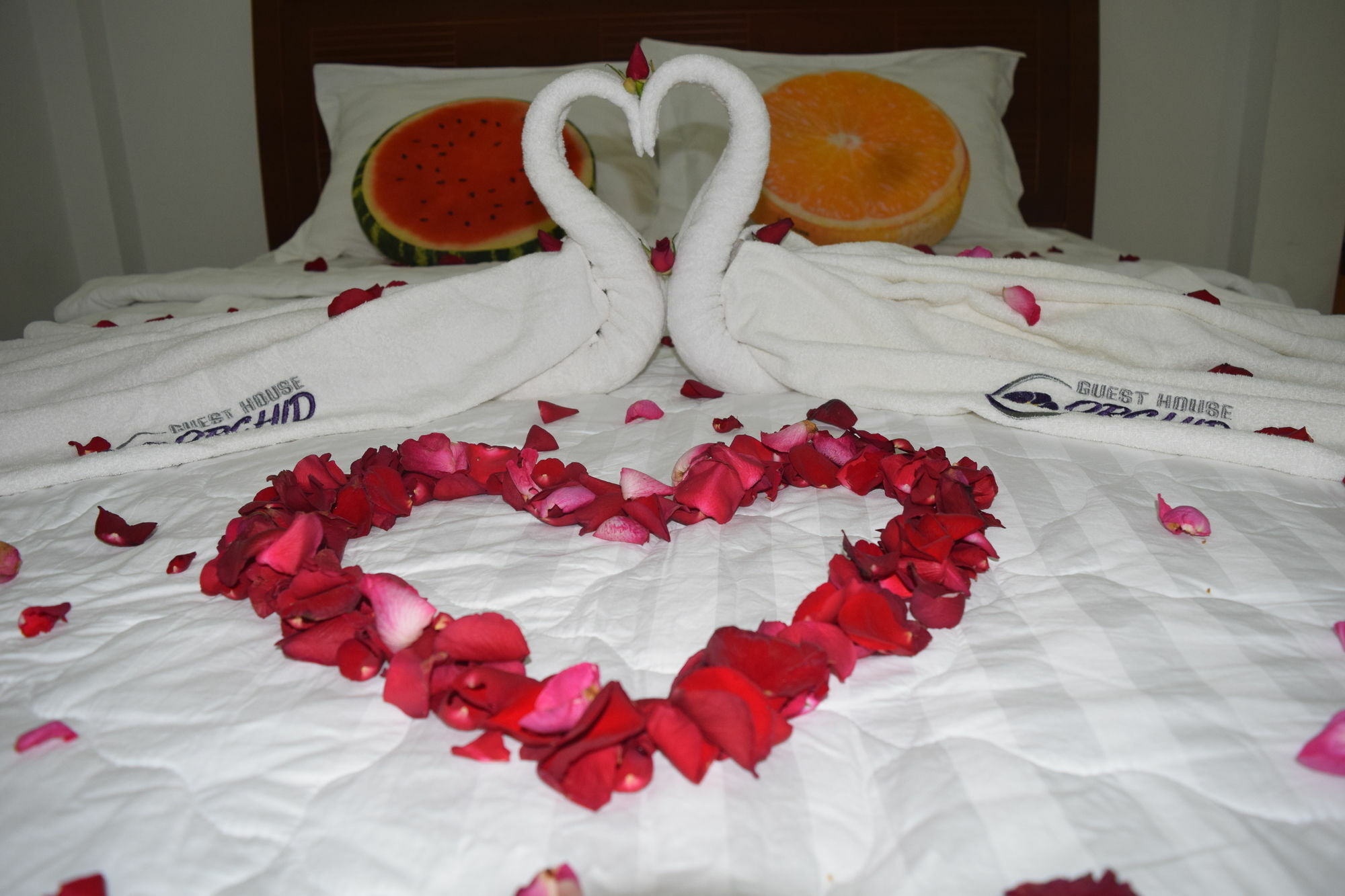 Orchid Guesthouse Дуонг-Донг Экстерьер фото