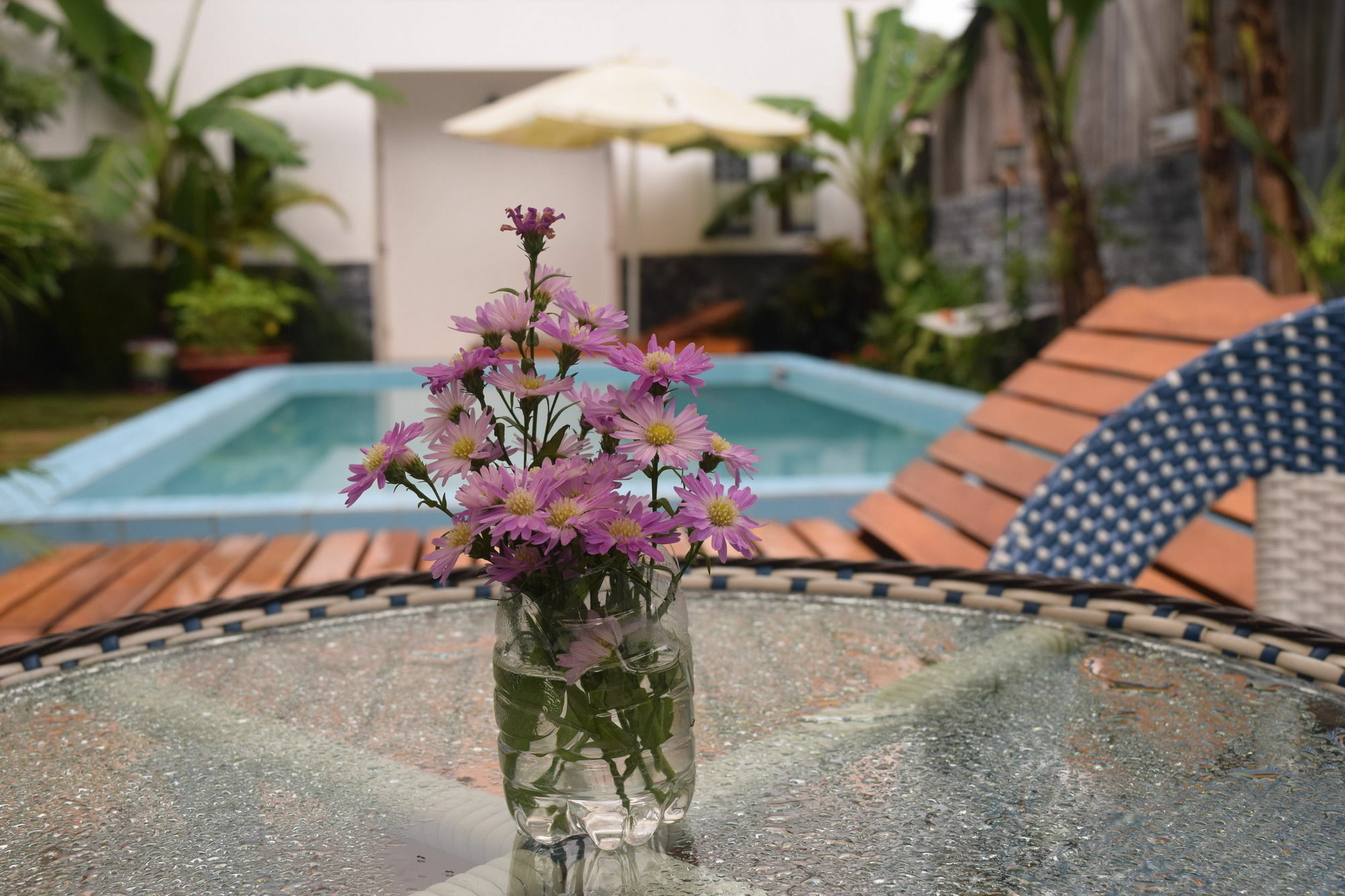 Orchid Guesthouse Дуонг-Донг Экстерьер фото